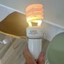 Reptile lamp Image 2