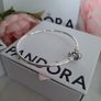 new genuine pandora moments bangles Image 9