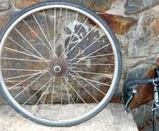 Mavic Rear Wheel