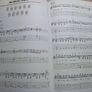 Ozzy Osbourne sheet music & guitar tabs. (Postage included) Image 4