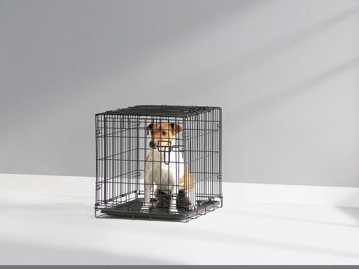 Brand new SAVIC folding dog crate never used