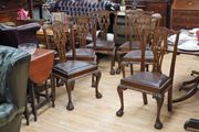 Edwardian Chippendale-Style Beech Dining Chairs _ Set of 6