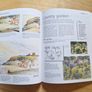 Watercolour Techniques in Practice.  published by Channel 4 Image 3