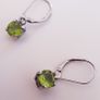 Earrings - Gold/Silver Plated Image 9