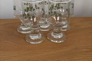 5 Shot Glasses