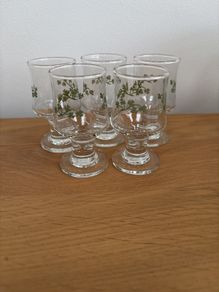 5 Shot Glasses