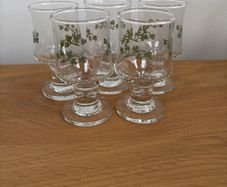 5 Shot Glasses