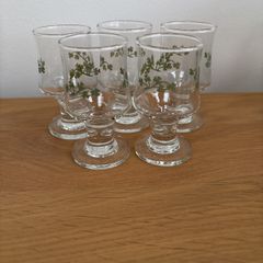 5 Shot Glasses