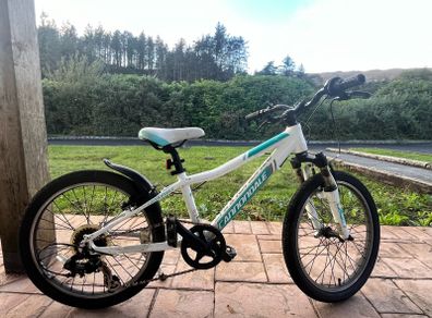 Cannondale 20' alloy mountain kids bike