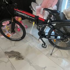 Electric bike