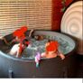Mspa Jacuzzi Image 4