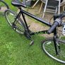 Adult Bike Image 2