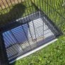 cage Image 6