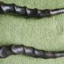 Antique Black Buck Horns 1800's Rare Horns Length 22" Image 5