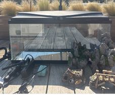 80l fish tank with accessories