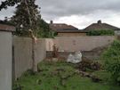 Tree surgeon and hedges cut Image 4
