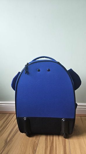 Travel Luggage Suitcase for Children