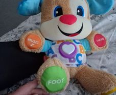 toy teddy
