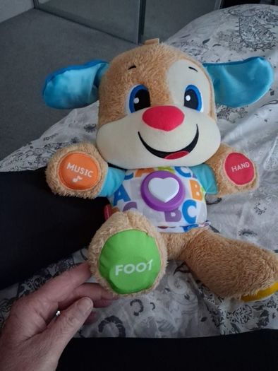 toy teddy