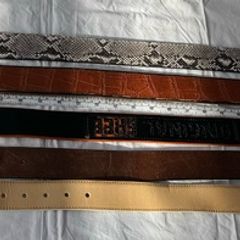 Belt for man : Lather and with Python skin, Alligator Skin