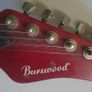 Guitar Image 2