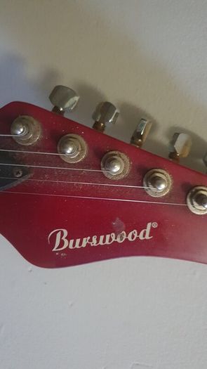 Guitar