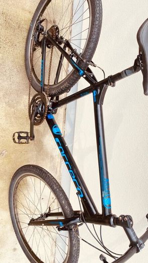 Carrera Alex frem Large Size (20130