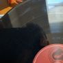 Rory Gallagher - Notes From San Francisco - 3 X LP - Music On Vinyl - 2011 Image 10