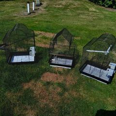 bird cages