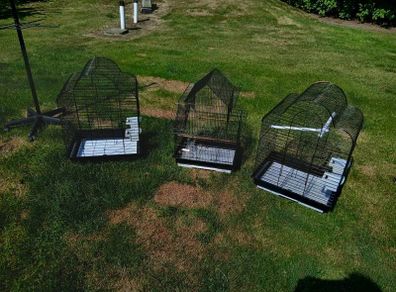 bird cages
