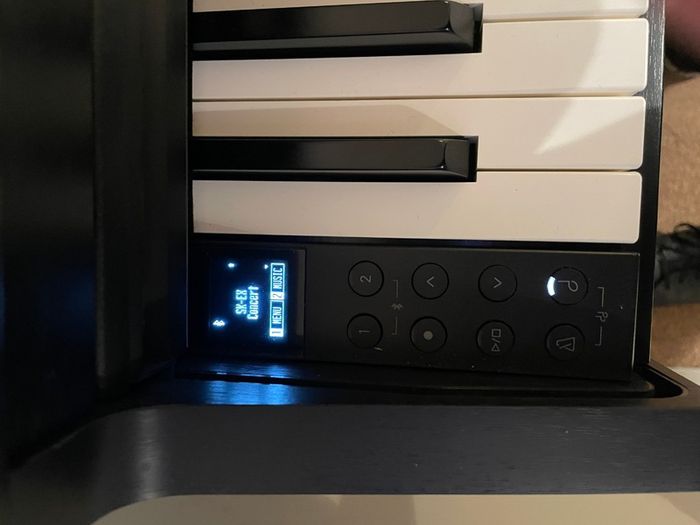 KAWAI CN201 digital piano bundle