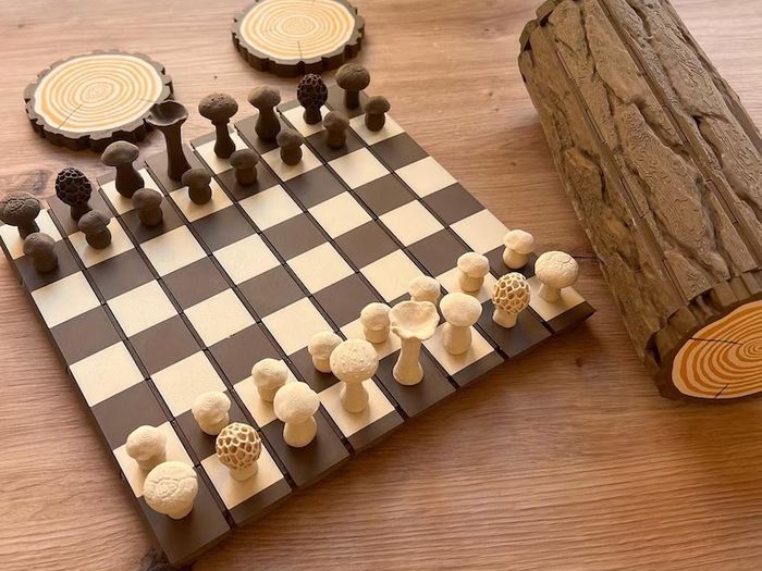 Board Chess Checkers Game