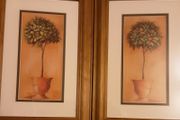 two nice citric pictures