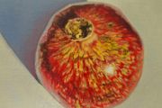 Original Oil Painting  POMEGRANATE