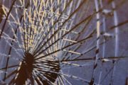 Seam - Headsparks (LP, Album, RE, Turquoise vinyl