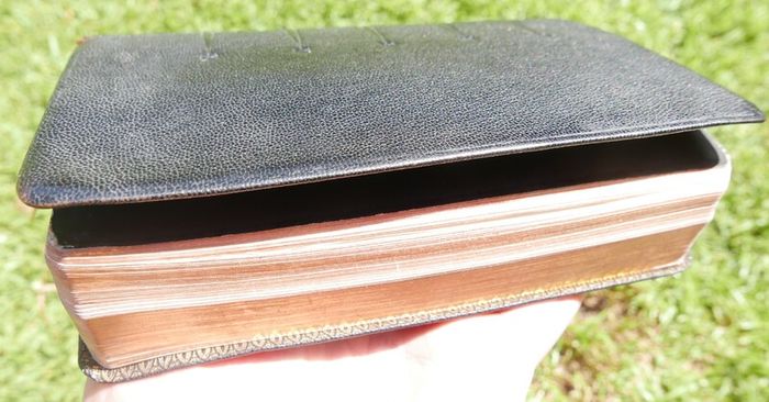 Vintage1960 The NEW MARIAN MISSAL Sylvester Juergens Regina Press Prayer Book Mass