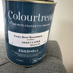 Colourtrend Paint Sweet Caper Eggshell