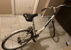 Woman or mens Hi-nelly bike