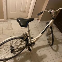 Woman or mens Hi-nelly bike