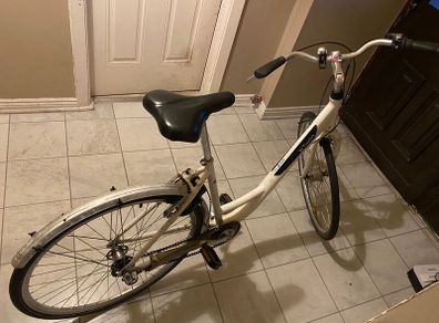 Woman or mens Hi-nelly bike