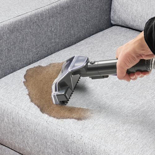 Stain Remover