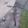 Childrens Mountain Bike Image 2