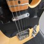 Telecaster Baja 2007 Image 6