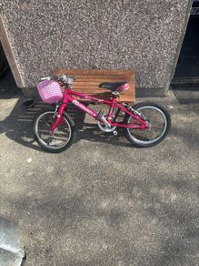 Pinnacle Bike