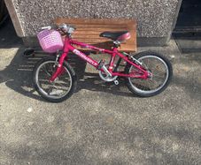 Pinnacle Bike