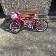 Pinnacle Bike