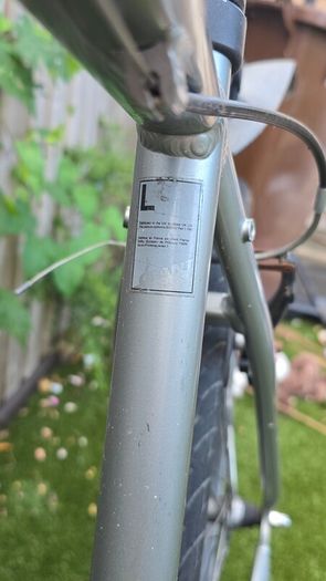 Giant Escape hybrid bicycle Large