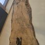wood Image 4