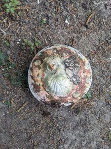 Fairy garden ornament