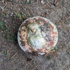 Fairy garden ornament